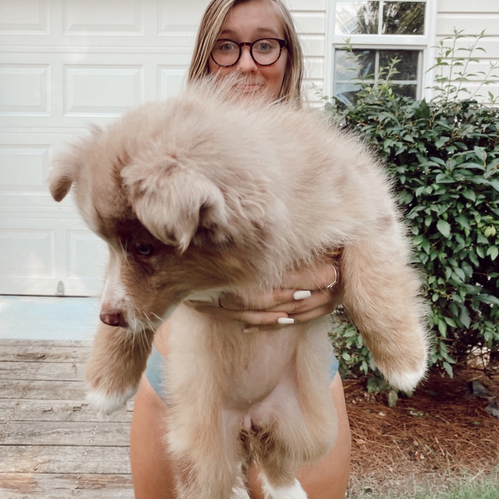 Meet your Posher, Kendall